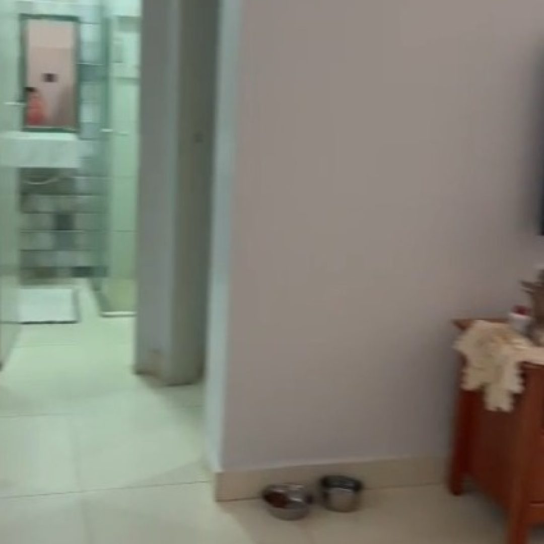 WhatsApp Image 2025-03-27 at 09.34.24